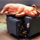 Mechanical Pig - Paul McCarthy 2005